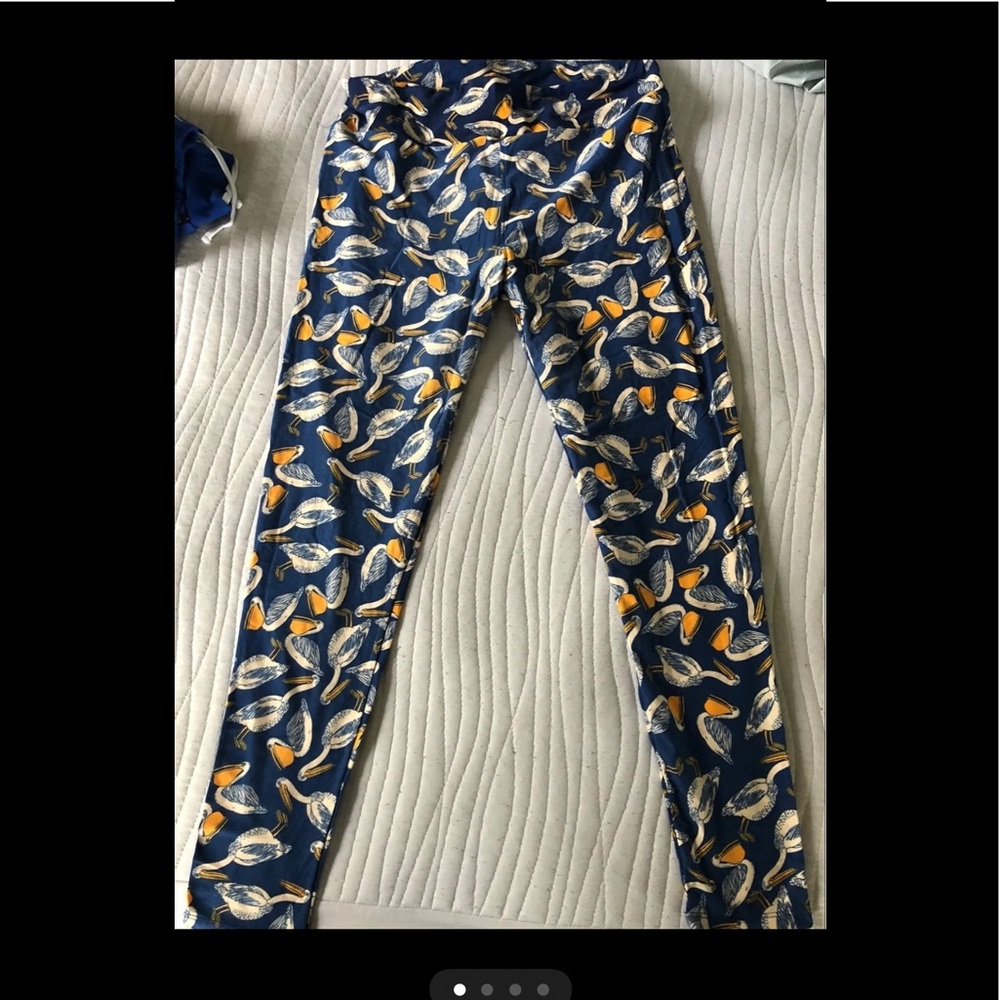 Lularoe leggings tc tall &curvy Pelicans?seagulls?